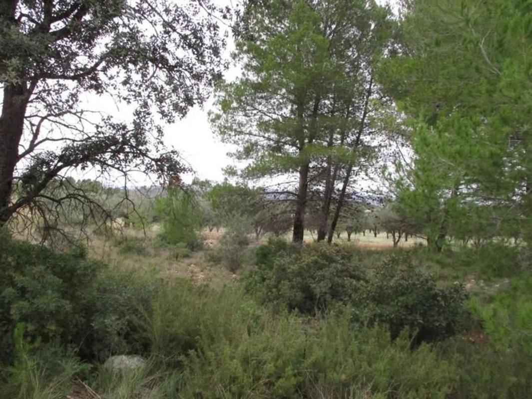 Terreno en venta en Macastre, Valencia photo 4