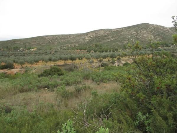 Terreno en Urbanització Llanorel 11 thumbnail 2