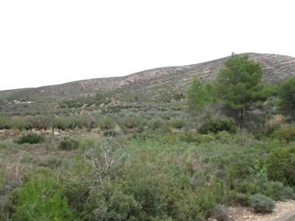 Terreno en Urbanització Llanorel 11 thumbnail 1