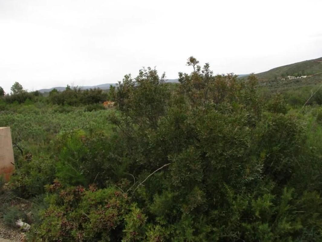 Terreno en venta en Macastre, Valencia photo 2