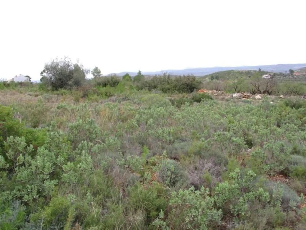 Terreno en venta en Macastre, Valencia photo 3