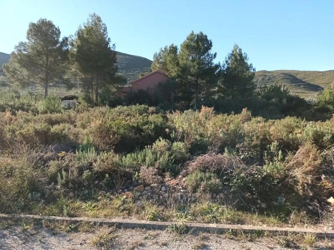 Terreno en venta en Macastre, Valencia photo 5