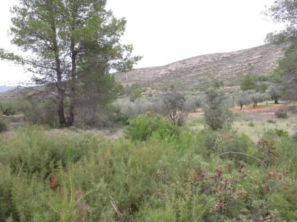 Terreno en calle Llanorel thumbnail 1