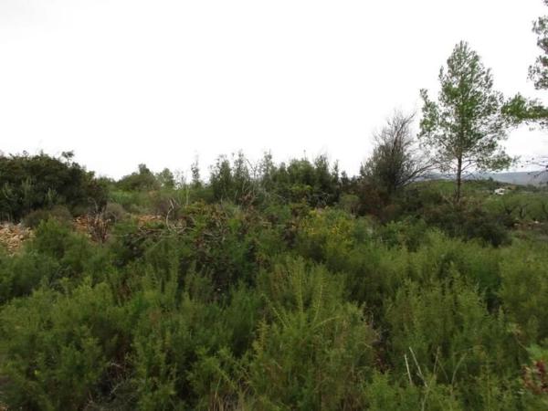 Terreno en calle Llanorel thumbnail 2