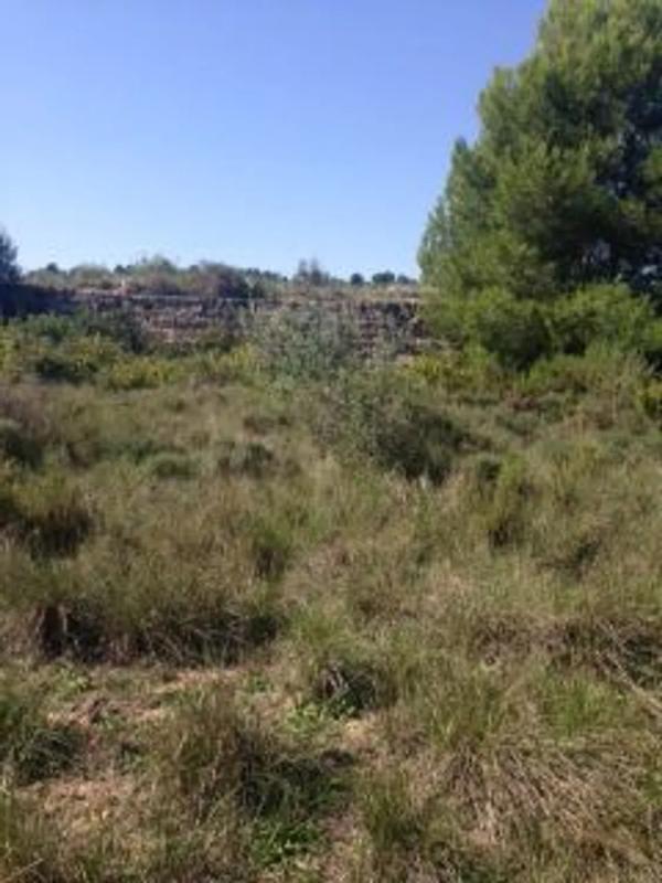 Terreno en venta en Chiva, Valencia photo 3