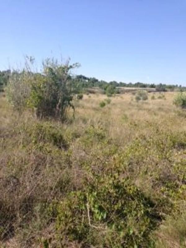 Terreno en venta en Chiva, Valencia photo 4