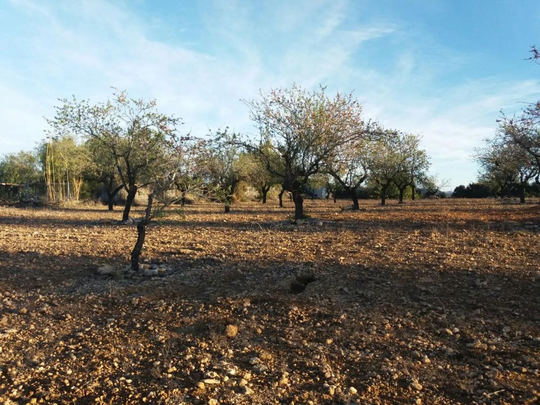 Terreno en venta en Godelleta, Valencia photo 2