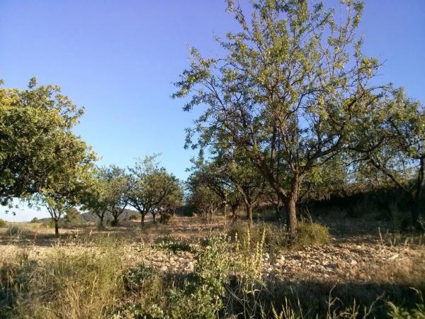 Terreno en calle Reverendo Vinat, 1 photo 2