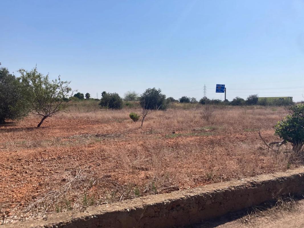 Terreno en venta en Puig, Valencia photo 3