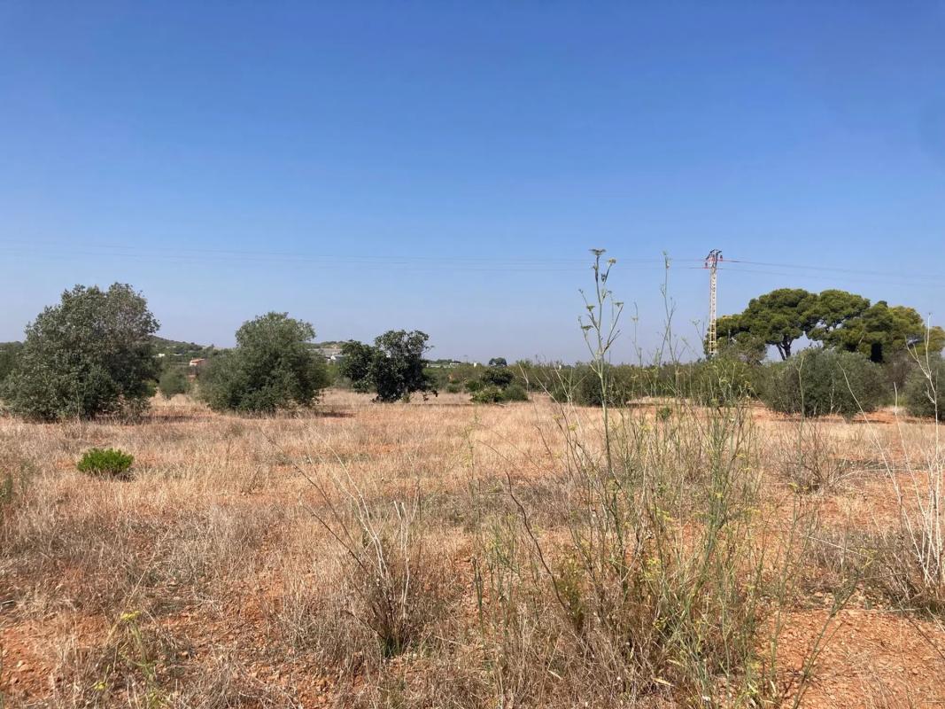 Terreno en venta en Puig, Valencia photo 4
