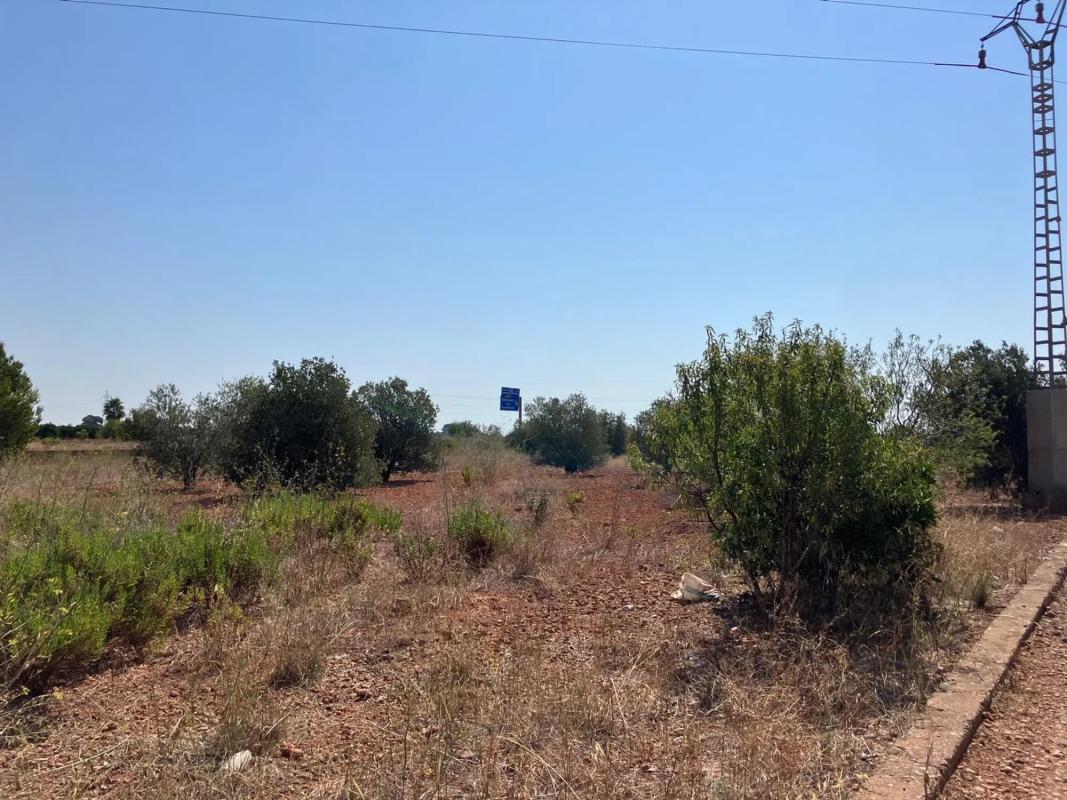 Terreno en venta en Puig, Valencia photo 5