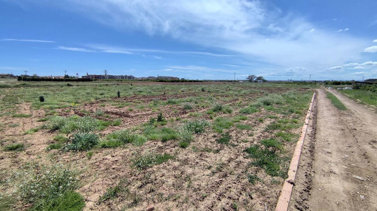 Terreno en venta en Alfara del Patriarca, Valencia photo 2