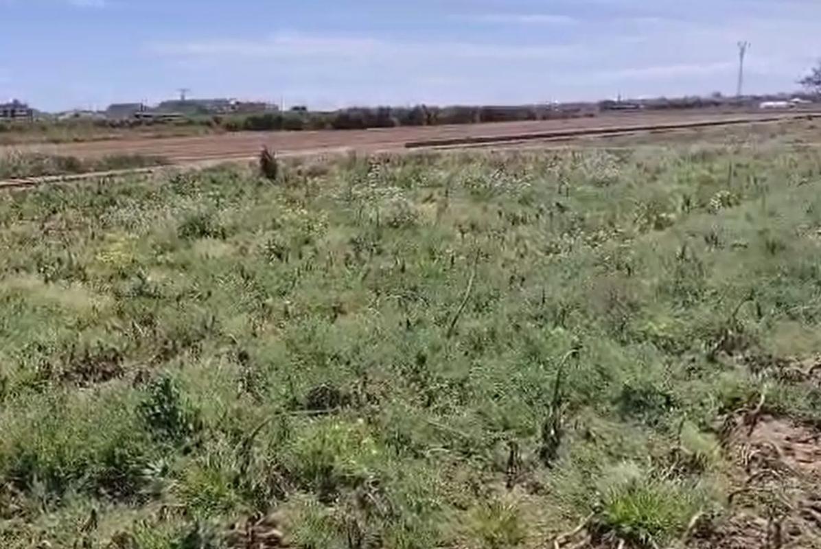 Terreno en venta en Alfara del Patriarca, Valencia photo 3