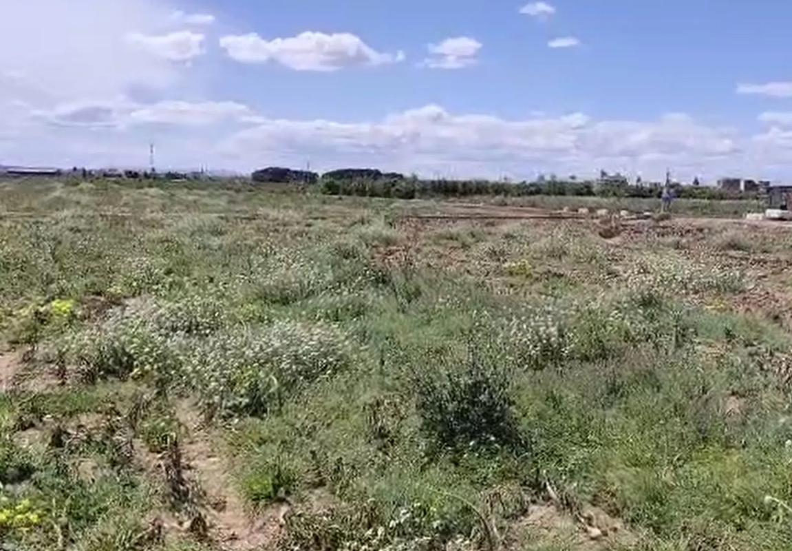 Terreno en venta en Alfara del Patriarca, Valencia photo 4