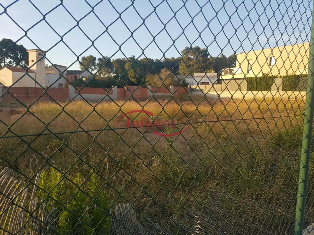 Terreno en venta en Almássera, Valencia photo 3