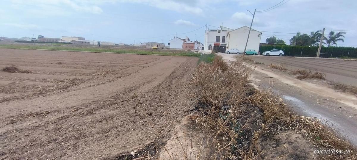 Land for sale in Almássera, Valencia photo 5