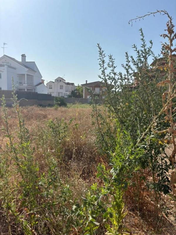 Terreno en venta en Rafelbunyol, Valencia photo 2