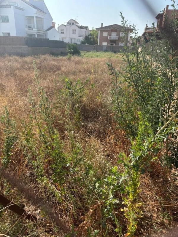 Terreno en venta en Rafelbunyol, Valencia photo 4