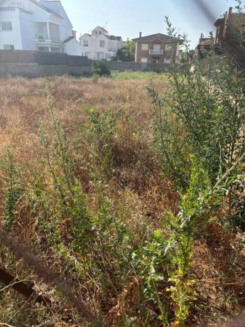 Terreno en calle Infanta Elena photo 4