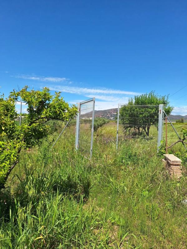 Terreno en venta en Puçol, Valencia photo 2