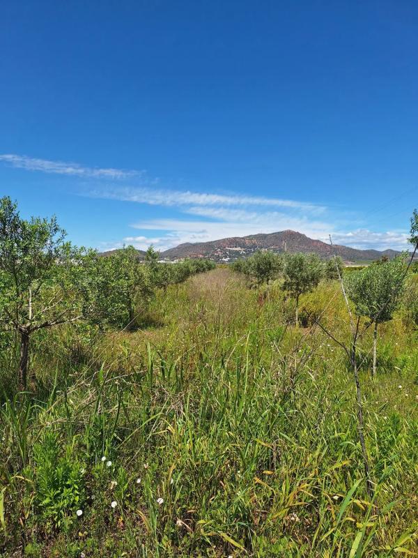 Terreno en venta en Puçol, Valencia photo 3