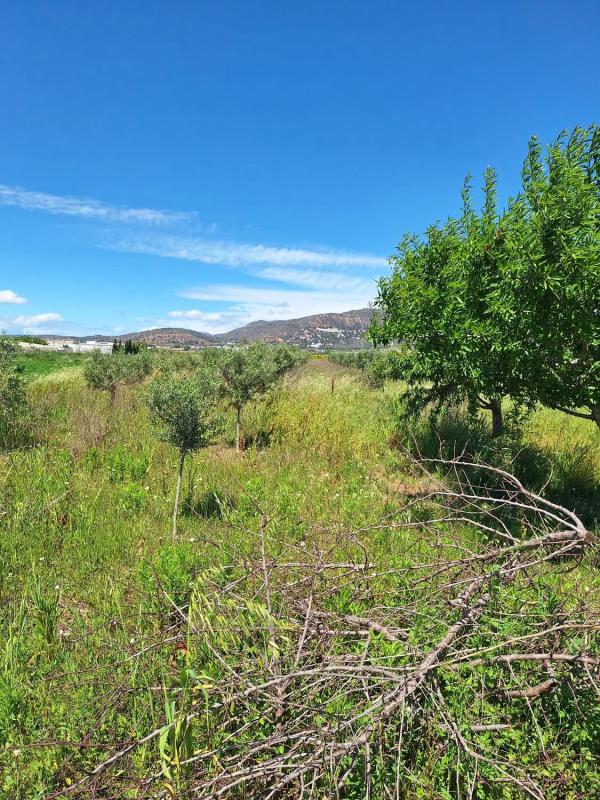 Terreno en venta en Puçol, Valencia photo 5