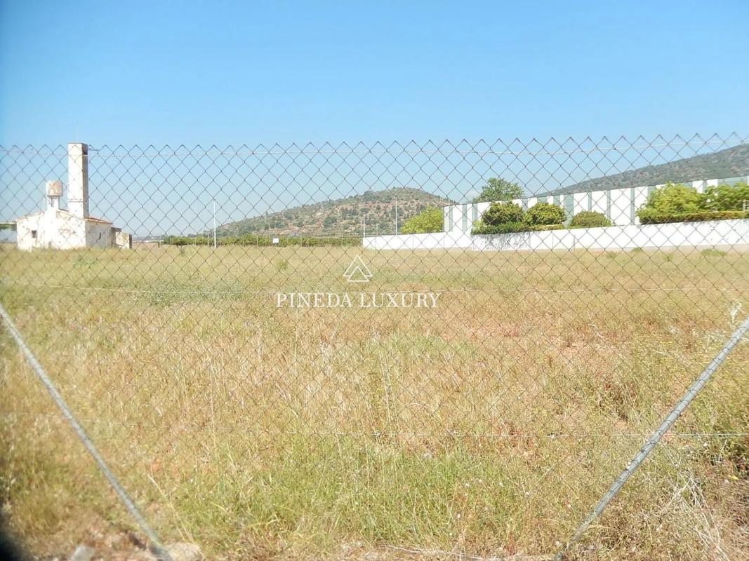 Land for sale in Puçol, Valencia photo 5