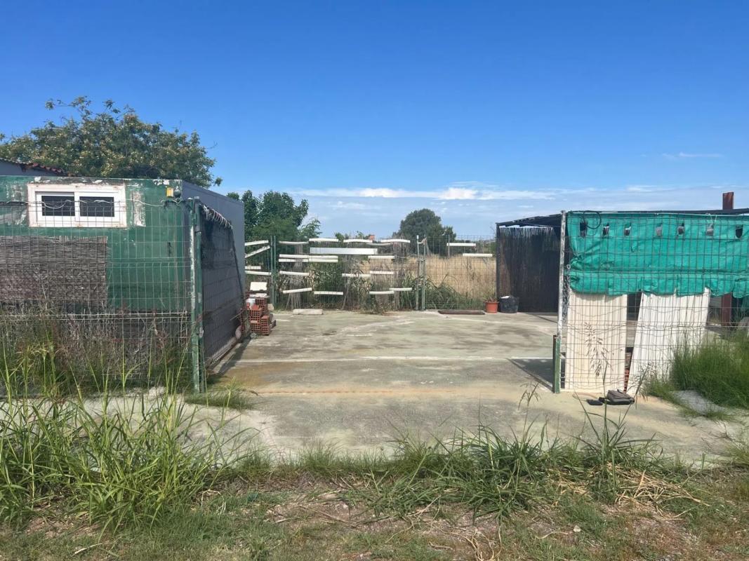 Terreno en venta en Puig, Valencia photo 3