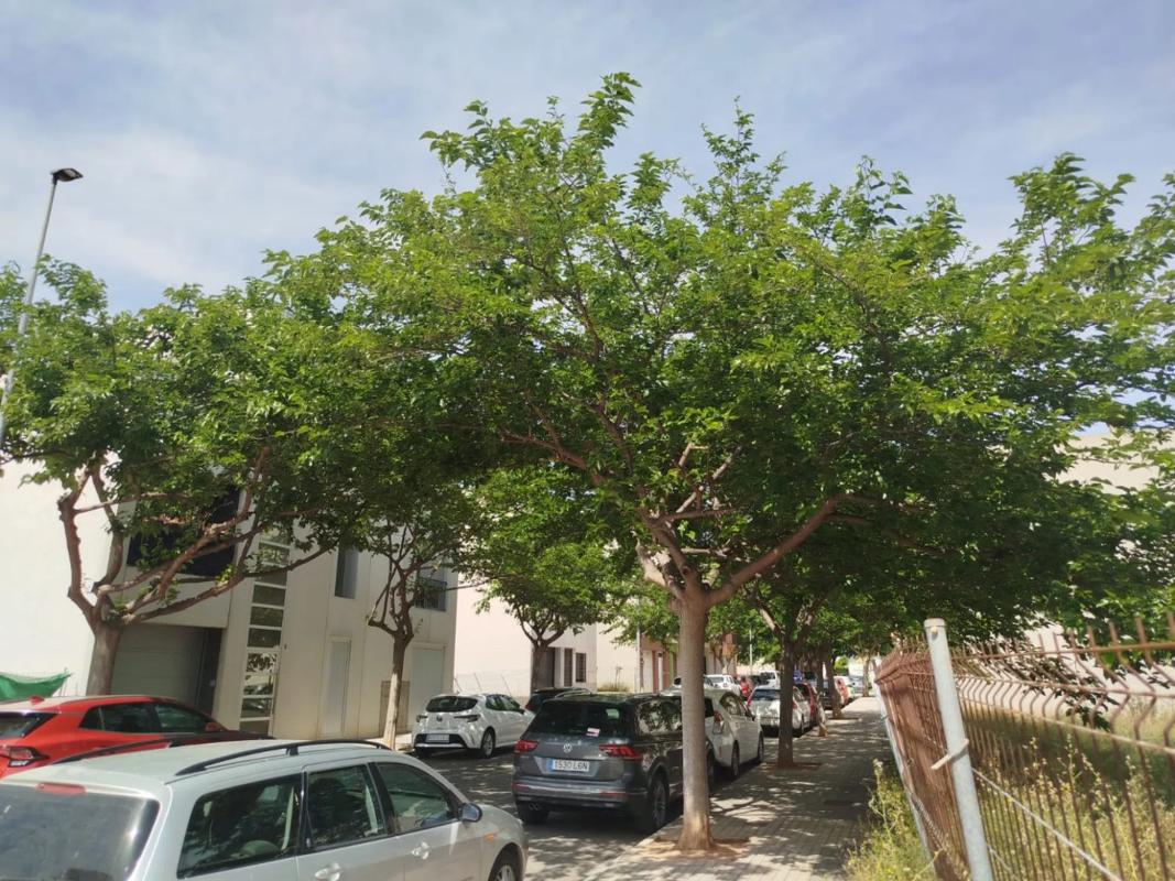 Terreno en venta en Foios, Valencia photo 2