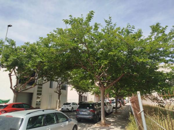 Terreno en calle les Moreres, 26 thumbnail 1
