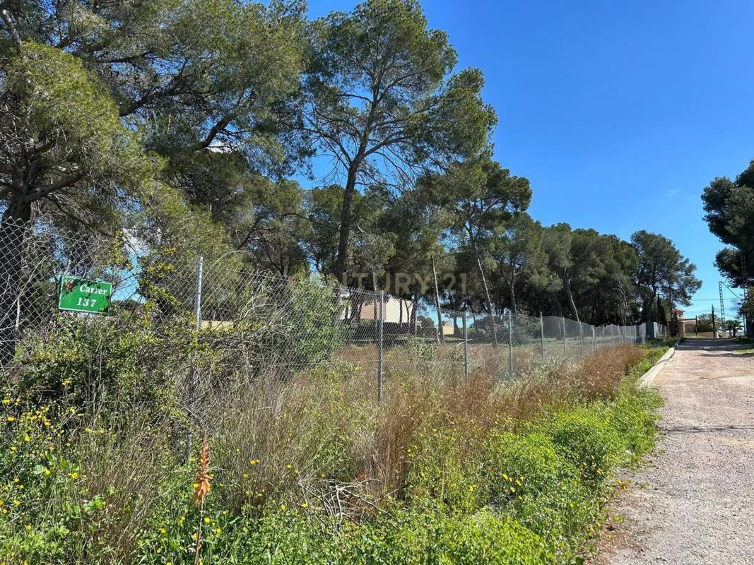 Terreno en venta en Paterna, Valencia photo 3
