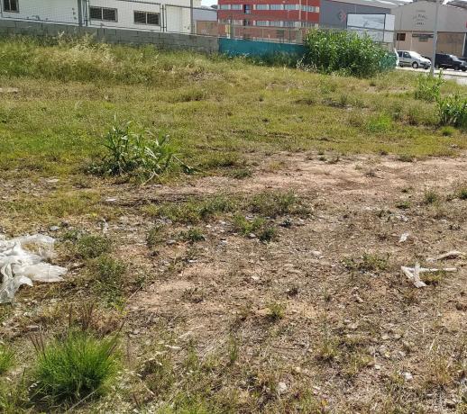 Terreno en La Pobla de Farnals photo 3