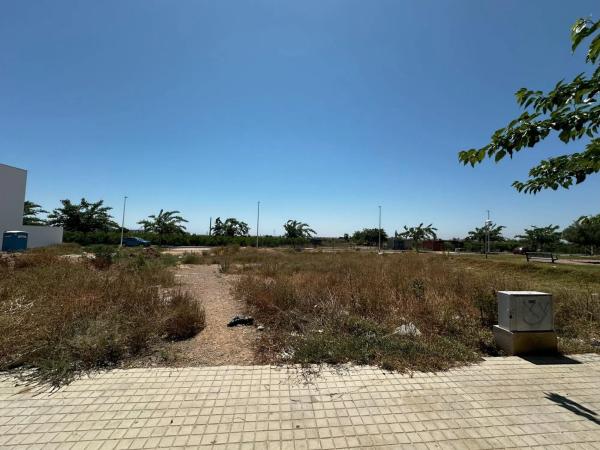 Terreno en Alfara del Patriarca photo 1