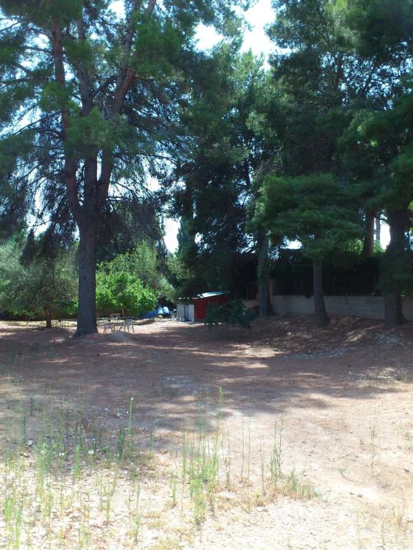 Land for sale in Paterna, Valencia photo 2