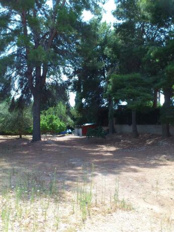 Terreno en calle 502, 22 photo 2