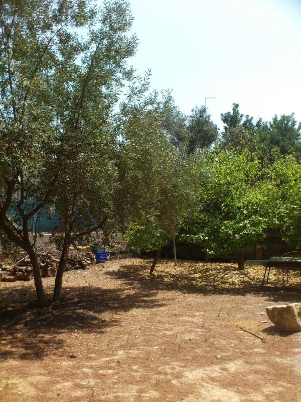 Land for sale in Paterna, Valencia photo 3