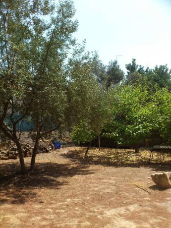 Terreno en calle 502, 22 photo 3