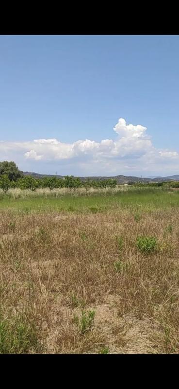Terreno en venta en Puçol, Valencia photo 1