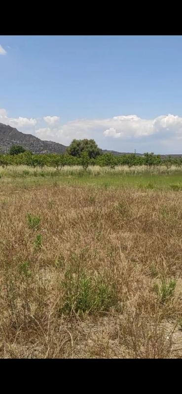Terreno en venta en Puçol, Valencia photo 2