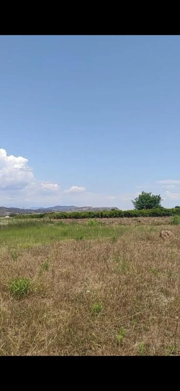 Terreno en venta en Puçol, Valencia photo 5