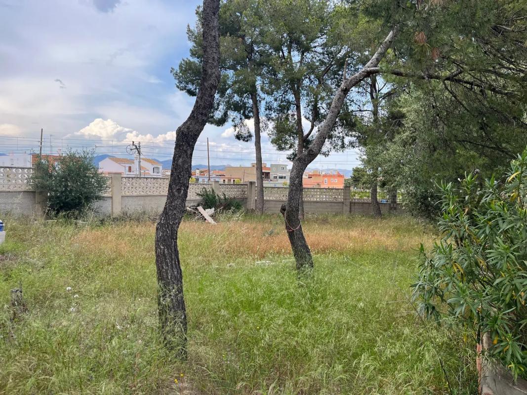 Land for sale in Moncada, Valencia photo 1