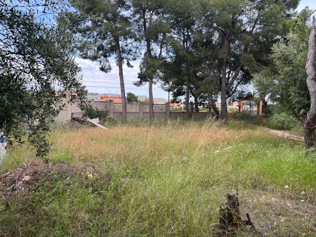 Land for sale in Moncada, Valencia photo 2