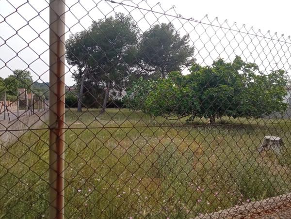 Terreno en calle 530 s/n photo 1