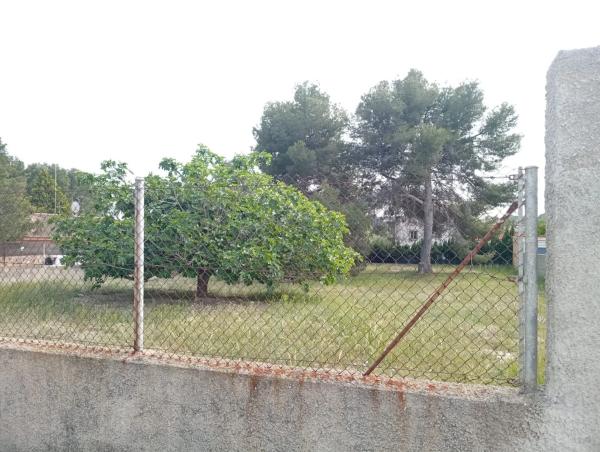 Terreno en calle 530 s/n photo 2