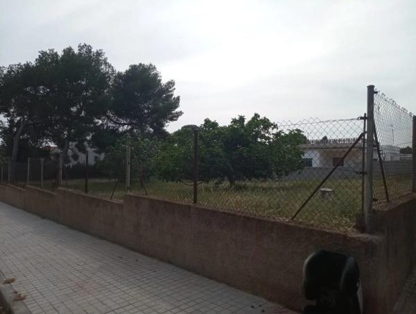 Terreno en calle 530 s/n photo 4