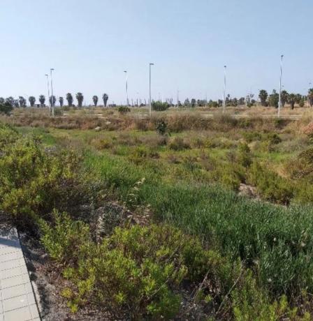 Terreno en calle Holanda photo 1