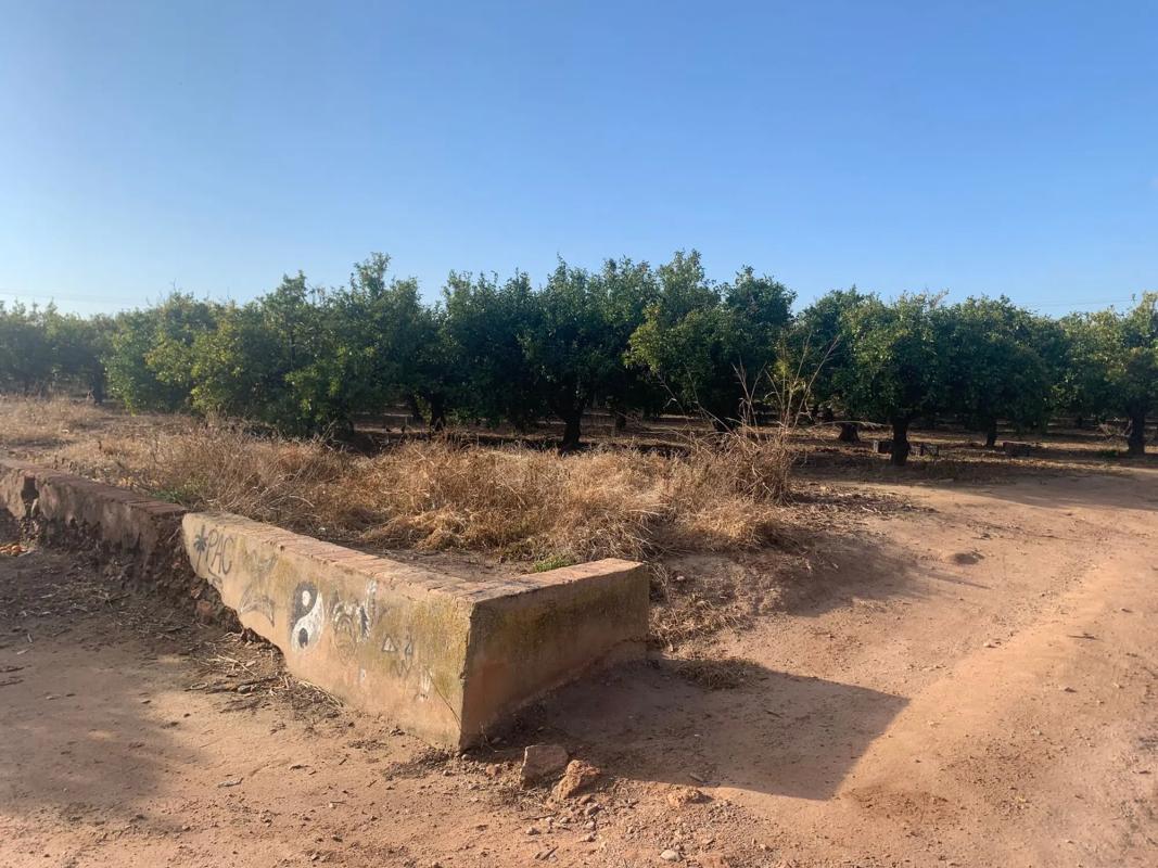 Terreno en venta en Alfara del Patriarca, Valencia photo 3
