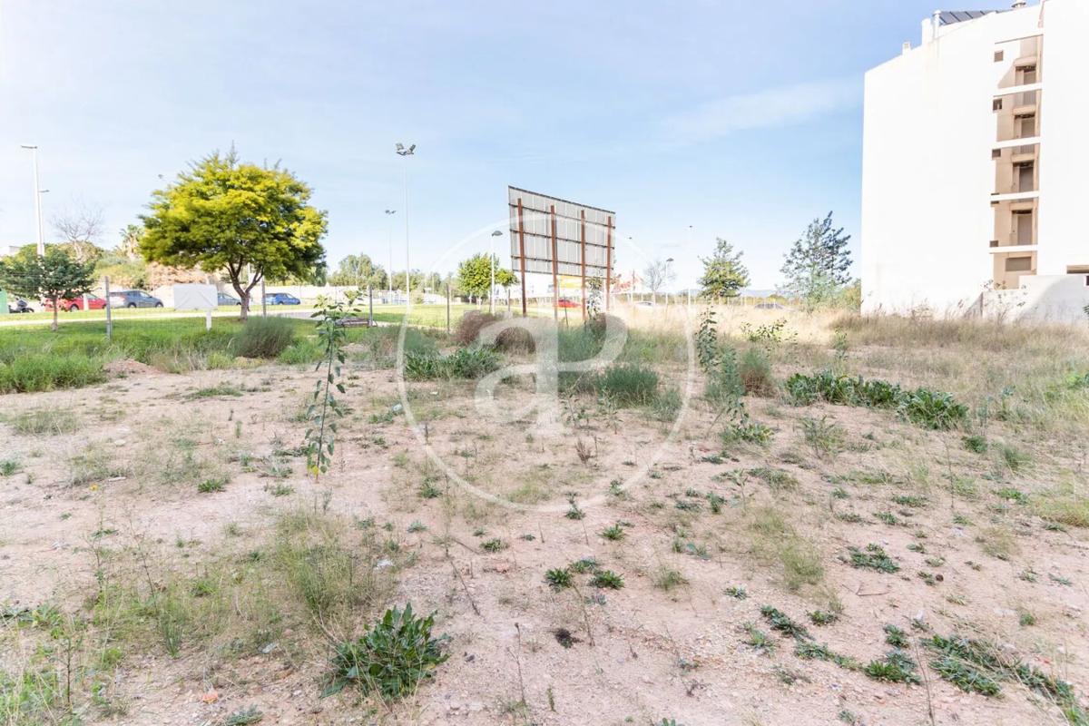 Land for sale in Moncada, Valencia photo 5