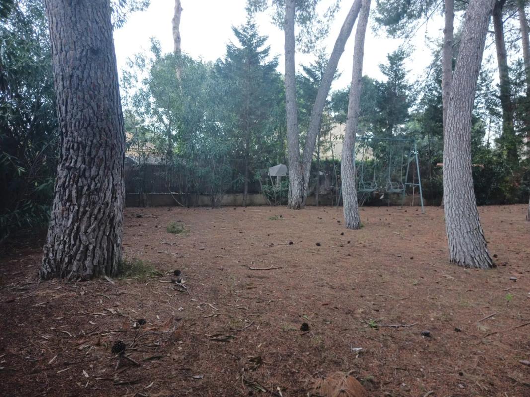 Terreno en venta en Paterna, Valencia photo 5