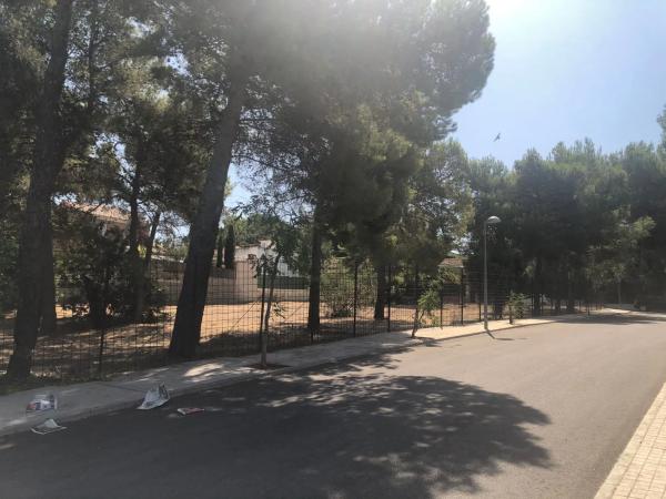 Terreno en calle 408 s/n photo 3